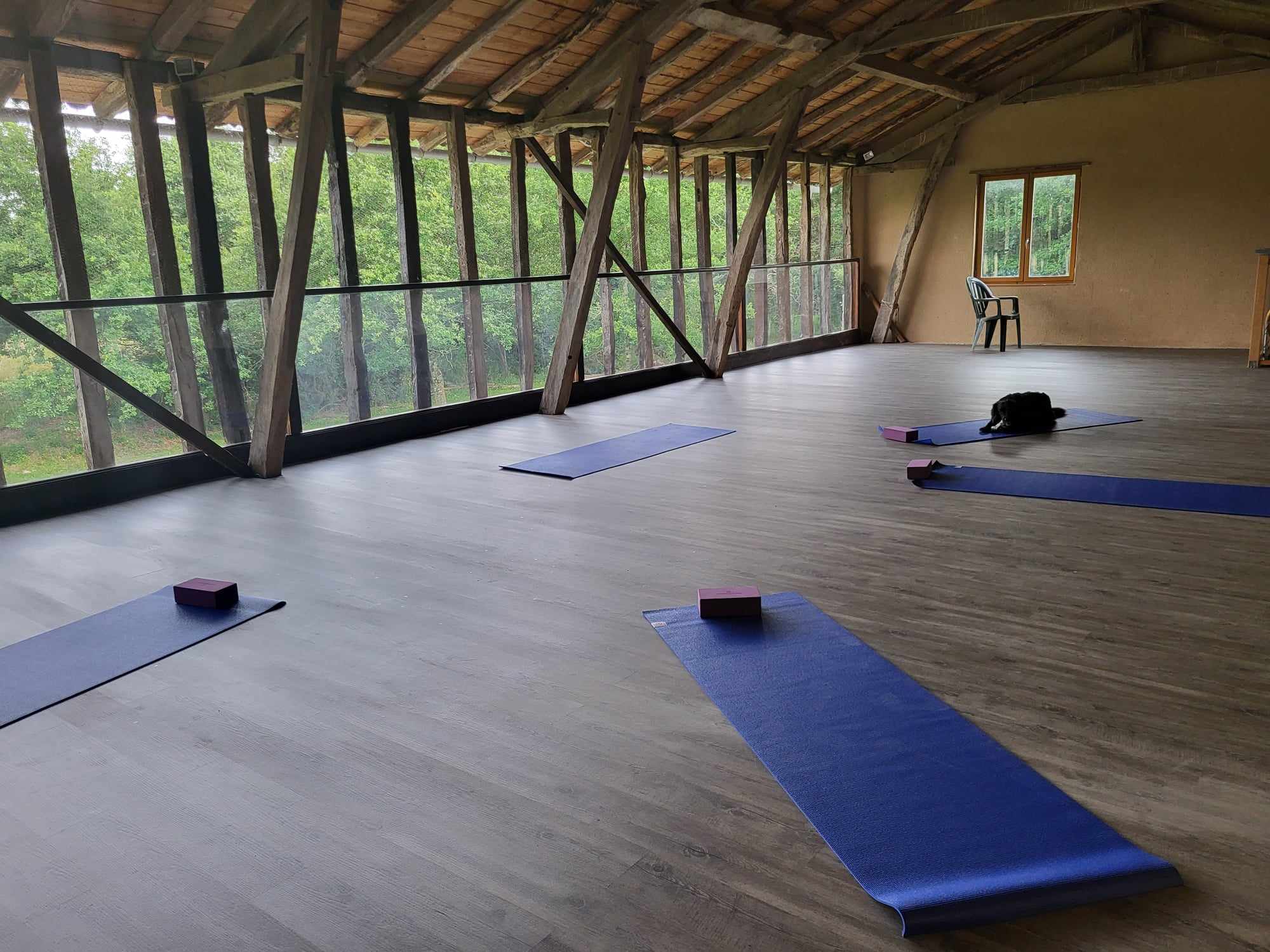 Panquere Wellbeing Yoga Room